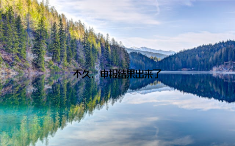 不久, 申报结果出来了