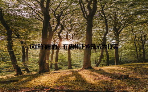 这样的画面, 在惠州正逐渐成为现实