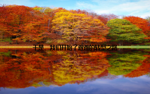 于是, 我们开始了艰难的转型之路