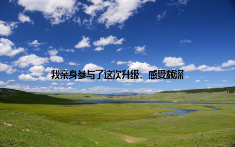 我亲身参与了这次升级, 感受颇深