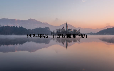 但这些挑战, 正是我前进的动力