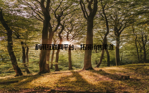 利用互联网平台, 拓展销售渠道