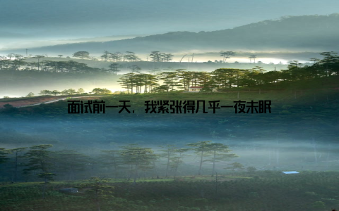 面试前一天, 我紧张得几乎一夜未眠