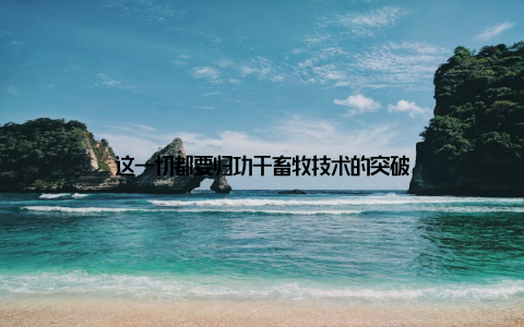 这一切都要归功于畜牧技术的突破