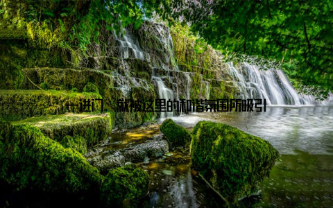 一进门, 就被这里的和谐氛围所吸引