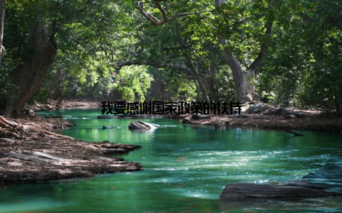 我要感谢国家政策的扶持