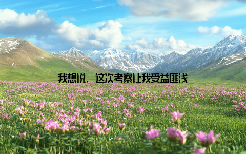 我想说, 这次考察让我受益匪浅