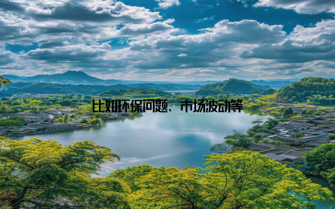 比如环保问题、市场波动等