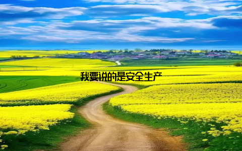 我要说的是安全生产