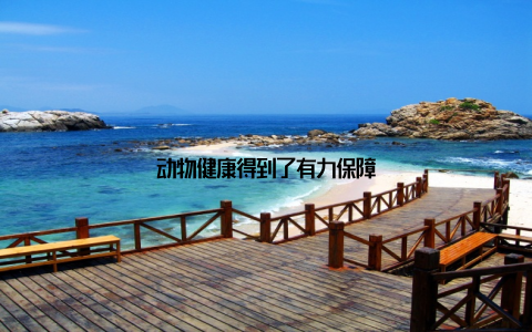 动物健康得到了有力保障