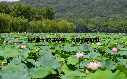 每当听到这些荣誉, 我都倍感欣慰