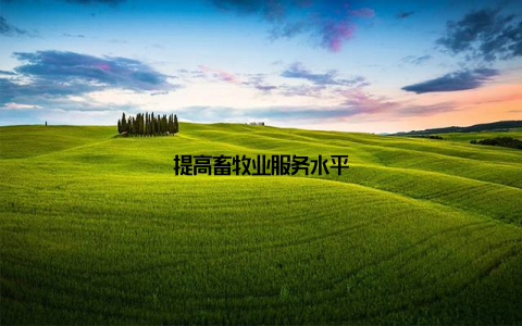 提高畜牧业服务水平