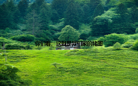 你们看, 这就是我们家的猪圈