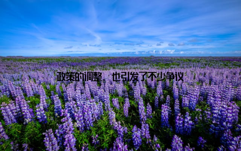 政策的调整, 也引发了不少争议