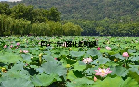 再次, 我们强化监测检测