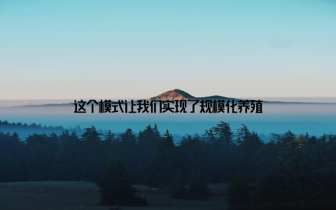 这个模式让我们实现了规模化养殖