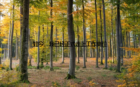 如今, 我已经正式走上工作岗位