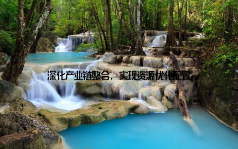 深化产业链整合, 实现资源优化配置