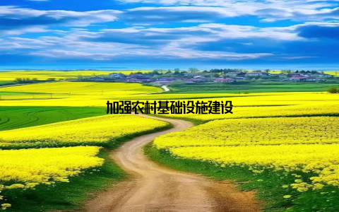 加强农村基础设施建设