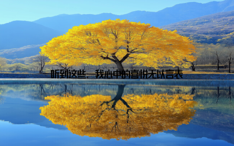 听到这些, 我心中的喜悦无以言表