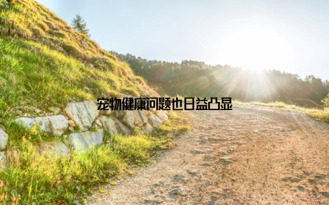 宠物健康问题也日益凸显