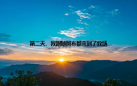 第二天, 我跟随阿布都来到了牧场