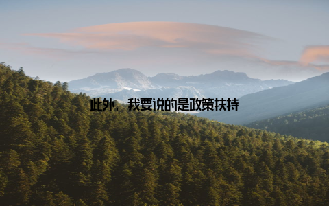 此外, 我要说的是政策扶持