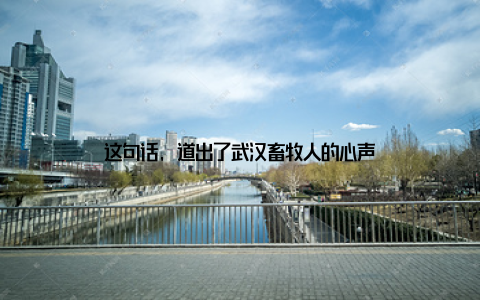 这句话, 道出了武汉畜牧人的心声