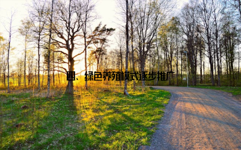 四、绿色养殖模式逐步推广