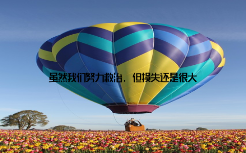 虽然我们努力救治, 但损失还是很大