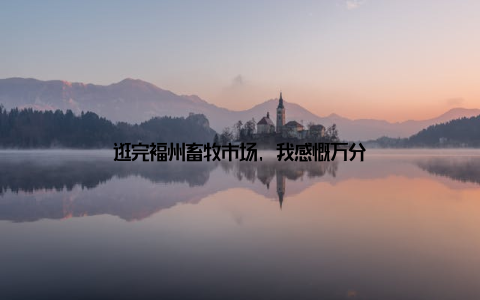 逛完福州畜牧市场, 我感慨万分