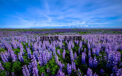 绿色发展, 未来可期