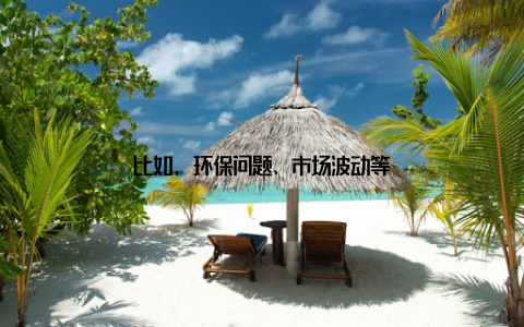 比如, 环保问题、市场波动等