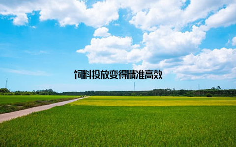 饲料投放变得精准高效