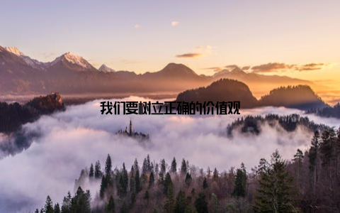 我们要树立正确的价值观