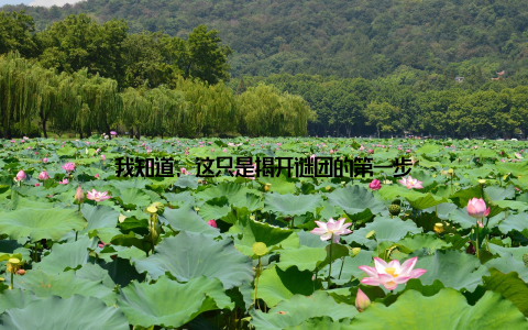 我知道, 这只是揭开谜团的第一步