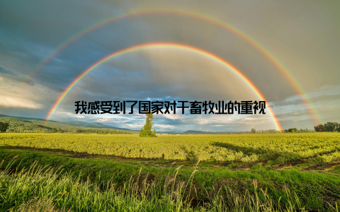 我感受到了国家对于畜牧业的重视