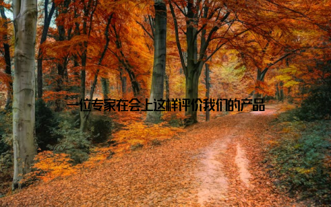 一位专家在会上这样评价我们的产品