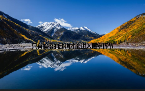 只有检疫的动物才能进入屠宰环节