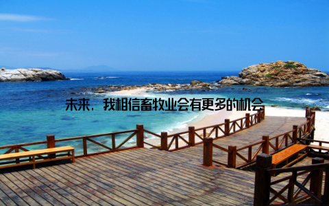 未来, 我相信畜牧业会有更多的机会