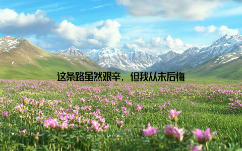 这条路虽然艰辛, 但我从未后悔