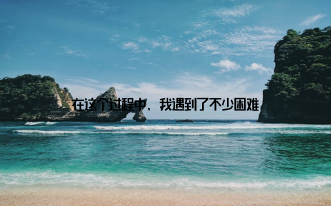 在这个过程中, 我遇到了不少困难