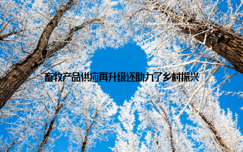 畜牧产品供应再升级还助力了乡村振兴