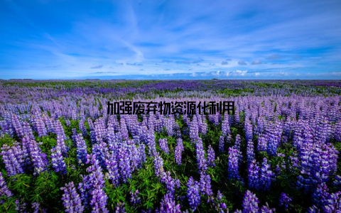 加强废弃物资源化利用