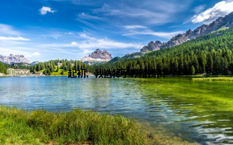 起初, 我选择了养殖鸡鸭