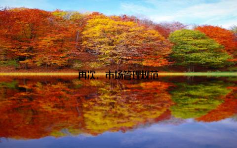 再次, 市场管理规范