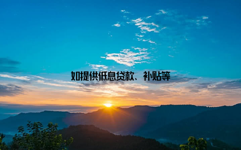如提供低息贷款、补贴等