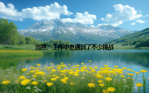 当然, 工作中也遇到了不少挑战