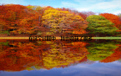 在这个过程中, 我也收获了很多