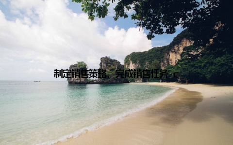 制定销售策略, 完成销售任务 c